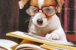 Personnification dans l’ecriture Chien a lunettes -Personnification dans l'ecriture