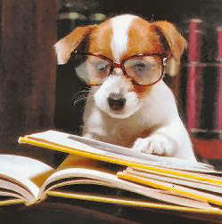 Chien a lunettes -Personnification dans l'ecriture